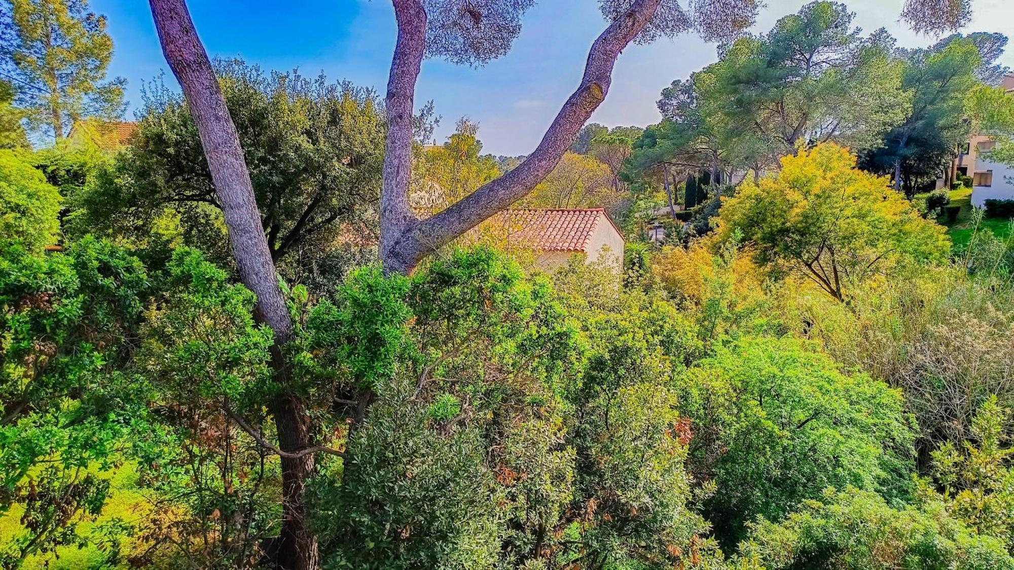 Reiala Saint-raphael Saint-Raphaël